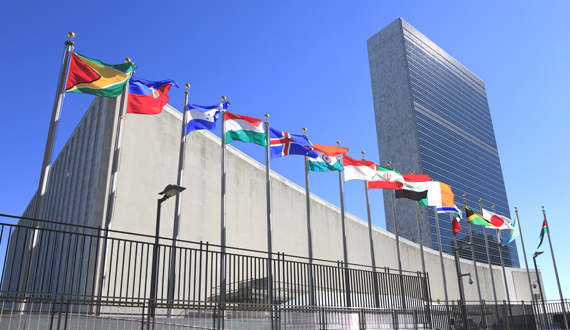 Trigyn Awarded – Extension of the United Nations OICT…