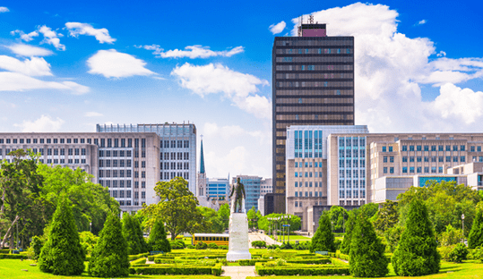 Trigyn Awarded – State of Louisiana – IT Staffing Contract